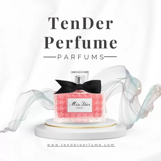 Shop Nước Hoa Hải Phòng – Top Thương Hiệu Chanel, Dior, Gucci Chính Hãng