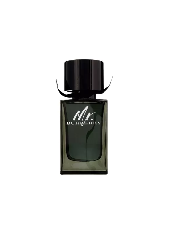 Mr. Burberry Eau de Parfum