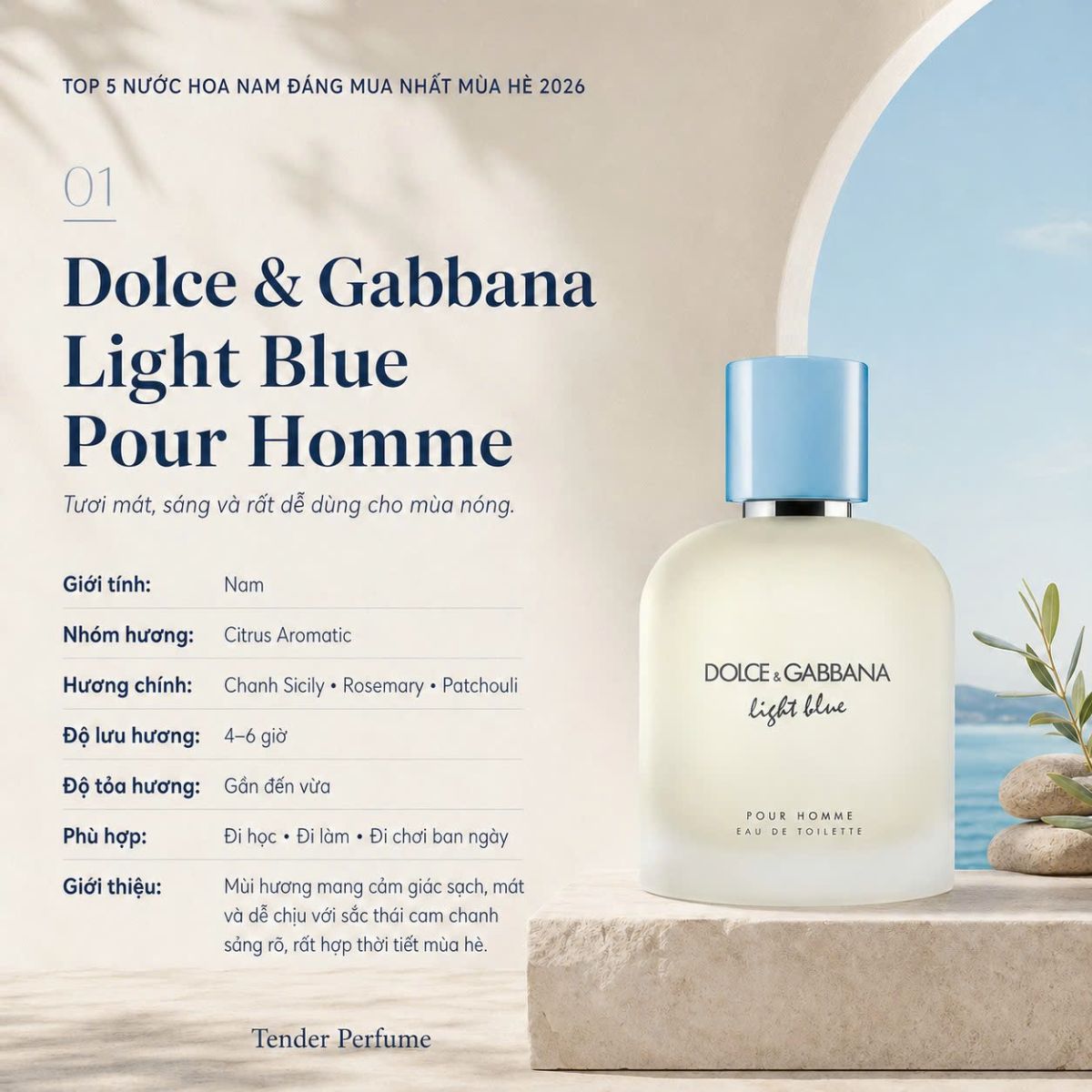 Dolce & Gabbana Light Blue Pour Homme